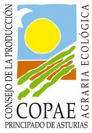 logo copae