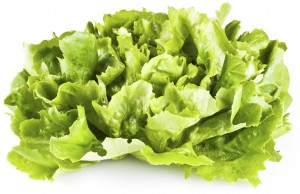 Lettuce