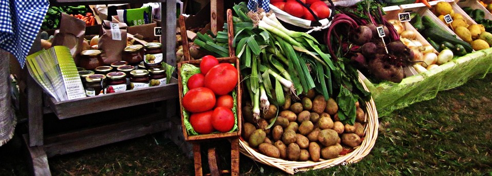 <a href=https://www.agrecoastur.com/slideshow/agrecoatur/>Agrecoastur</a>