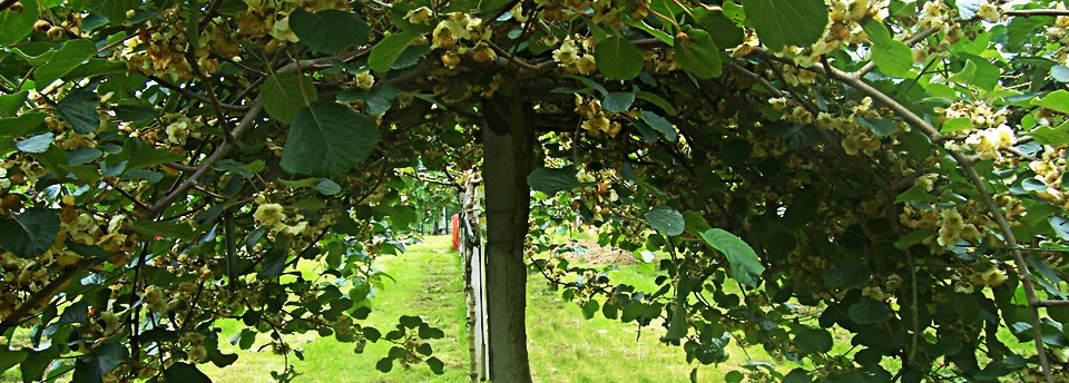 <a href=https://www.agrecoastur.com/slideshow/agrecoastur/>Agrecoastur</a>