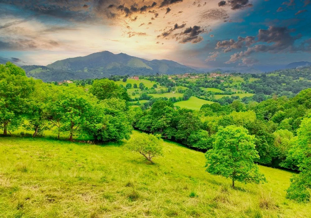 agrecoastur-pilona-pumarada