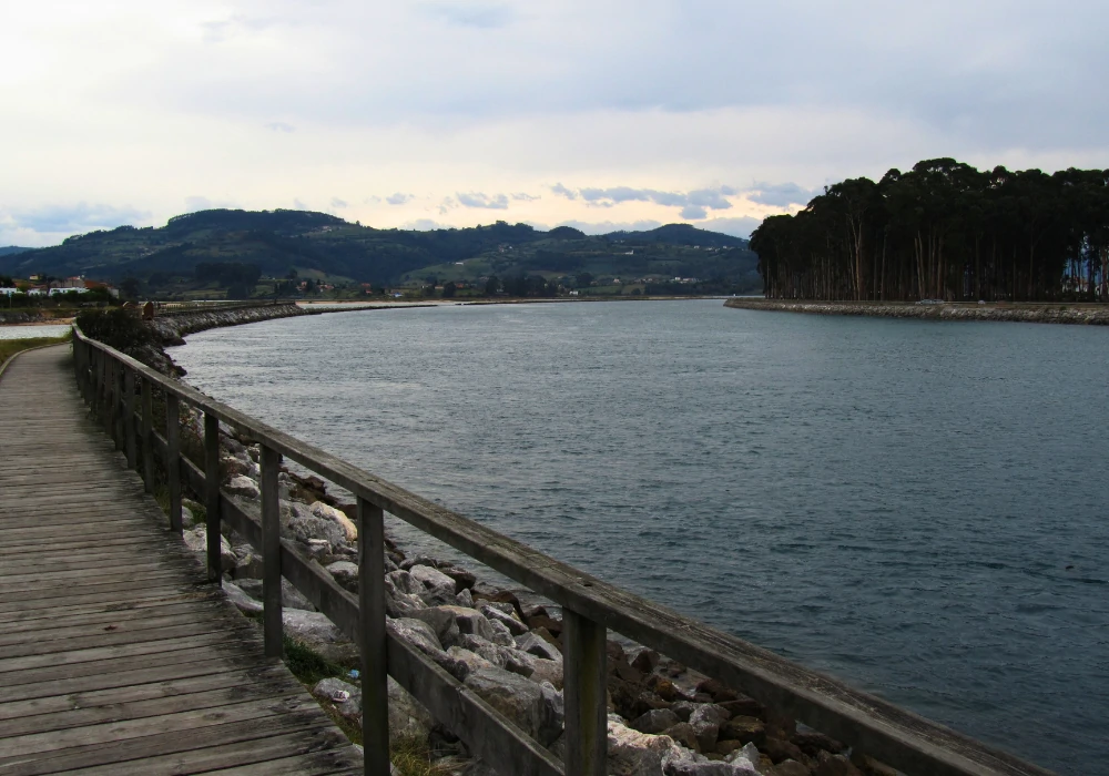 villaviciosa-agrecoastur-ria